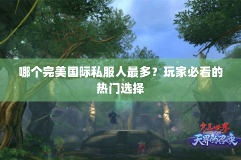 哪个完美国际私服人最多？玩家必看的热门选择