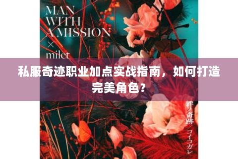 私服奇迹职业加点实战指南，如何打造完美角色？
