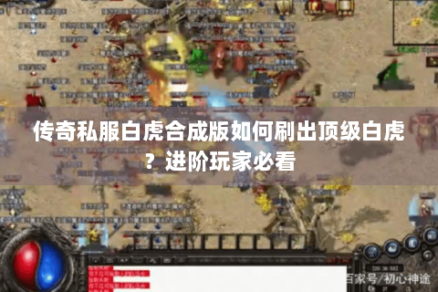 传奇私服白虎合成版如何刷出顶级白虎？进阶玩家必看