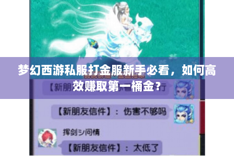 梦幻西游私服打金服新手必看，如何高效赚取第一桶金？