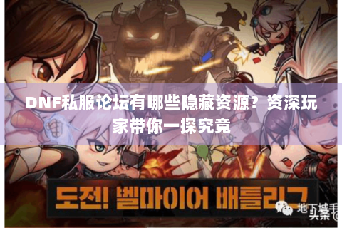 DNF私服论坛有哪些隐藏资源？资深玩家带你一探究竟