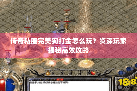 传奇私服完美狗打金怎么玩？资深玩家揭秘高效攻略