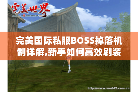 完美国际私服BOSS掉落机制详解,新手如何高效刷装?