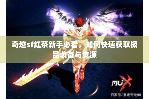 奇迹sf红茶新手必看，如何快速获取极品装备与资源
