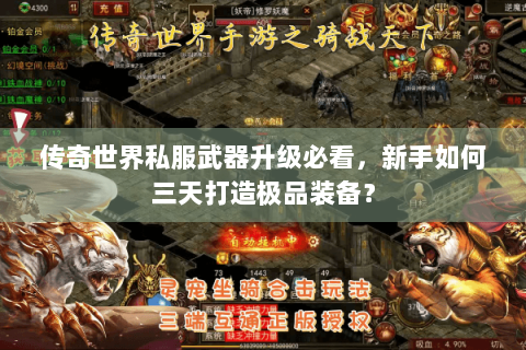 传奇世界私服武器升级必看，新手如何三天打造极品装备？