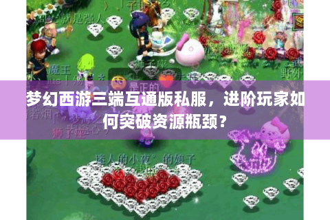 梦幻西游三端互通版私服，进阶玩家如何突破资源瓶颈？
