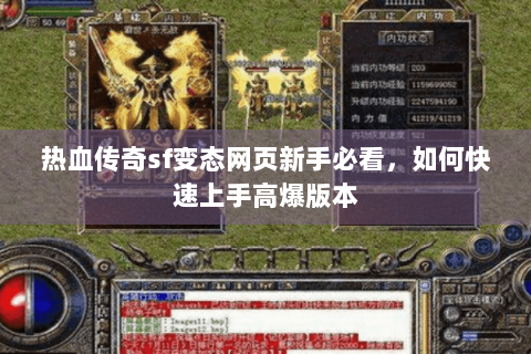 热血传奇sf变态网页新手必看，如何快速上手高爆版本