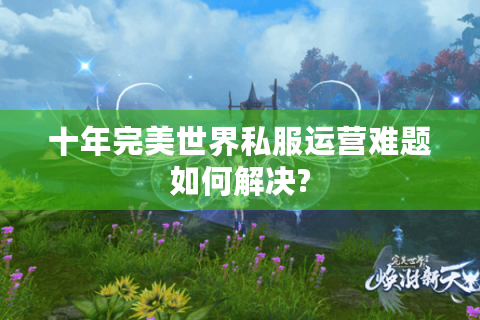 十年完美世界私服运营难题如何解决?