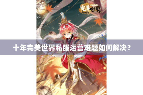 十年完美世界私服运营难题如何解决？