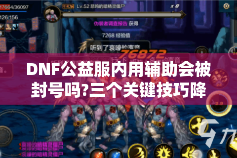 DNF公益服内用辅助会被封号吗?三个关键技巧降低风险