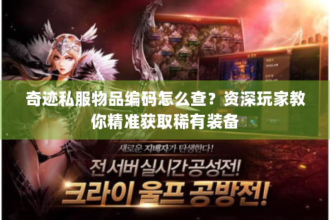 奇迹私服物品编码怎么查？资深玩家教你精准获取稀有装备