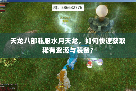 天龙八部私服水月天龙，如何快速获取稀有资源与装备？
