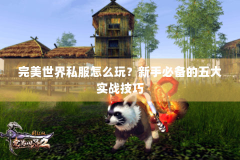 完美世界私服怎么玩？新手必备的五大实战技巧