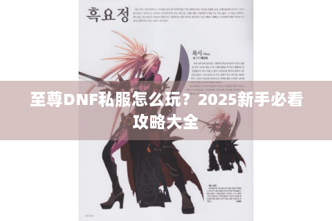 至尊DNF私服怎么玩？2025新手必看攻略大全