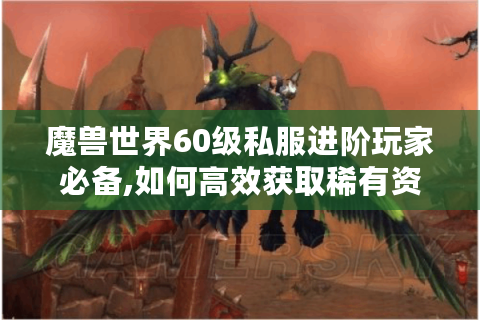 魔兽世界60级私服进阶玩家必备,如何高效获取稀有资源?