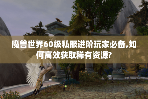 魔兽世界60级私服进阶玩家必备,如何高效获取稀有资源?