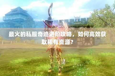 最火的私服奇迹进阶攻略，如何高效获取稀有资源？