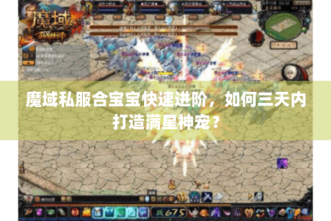魔域私服合宝宝快速进阶，如何三天内打造满星神宠？