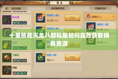 十里桃花天龙八部私服如何高效获取稀有资源