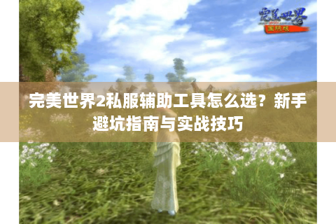 完美世界2私服辅助工具怎么选？新手避坑指南与实战技巧