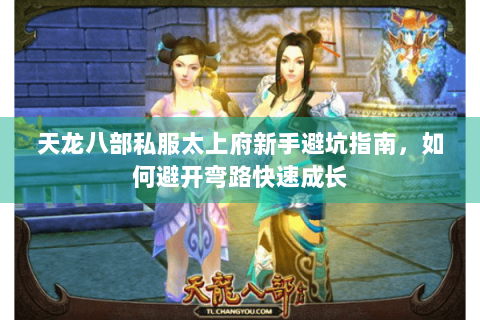 天龙八部私服太上府新手避坑指南，如何避开弯路快速成长