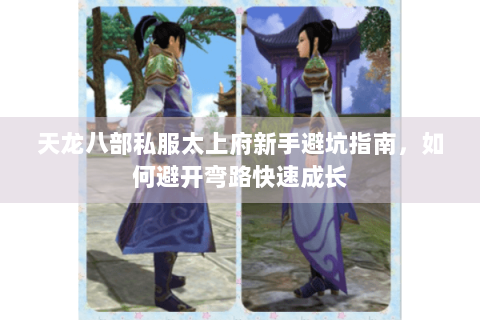 天龙八部私服太上府新手避坑指南，如何避开弯路快速成长