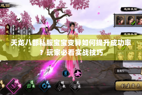 天龙八部私服宝宝变异如何提升成功率？玩家必看实战技巧