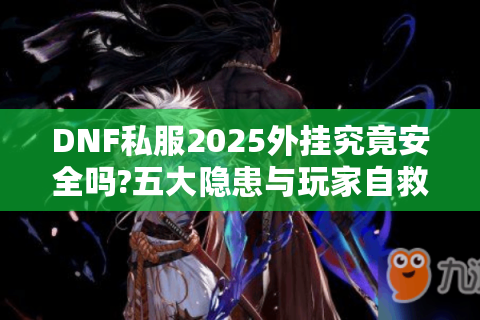 DNF私服2025外挂究竟安全吗?五大隐患与玩家自救指南