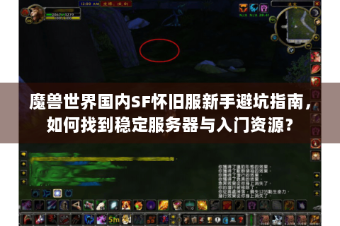魔兽世界国内SF怀旧服新手避坑指南，如何找到稳定服务器与入门资源？