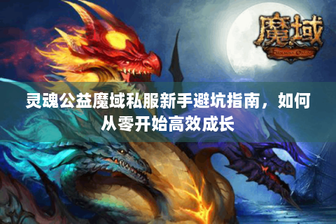 灵魂公益魔域私服新手避坑指南，如何从零开始高效成长