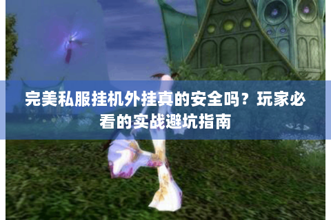 完美私服挂机外挂真的安全吗？玩家必看的实战避坑指南