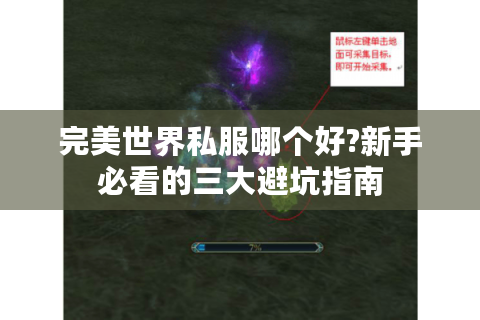 完美世界私服哪个好?新手必看的三大避坑指南