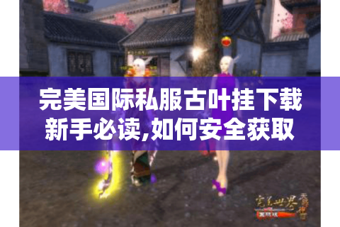 完美国际私服古叶挂下载新手必读,如何安全获取资源