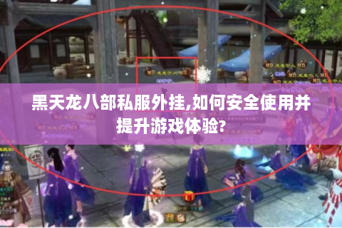 黑天龙八部私服外挂,如何安全使用并提升游戏体验?