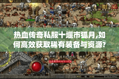 热血传奇私服十堰市狐月,如何高效获取稀有装备与资源?