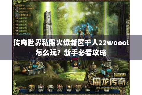 传奇世界私服火爆新区千人22woool怎么玩？新手必看攻略