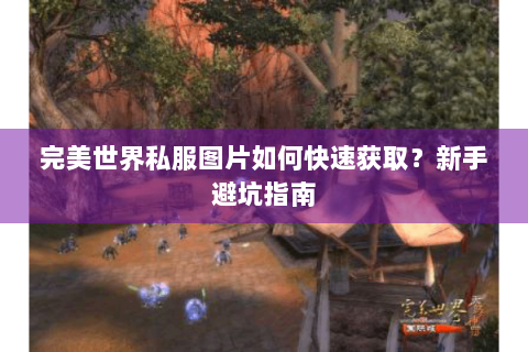 完美世界私服图片如何快速获取？新手避坑指南