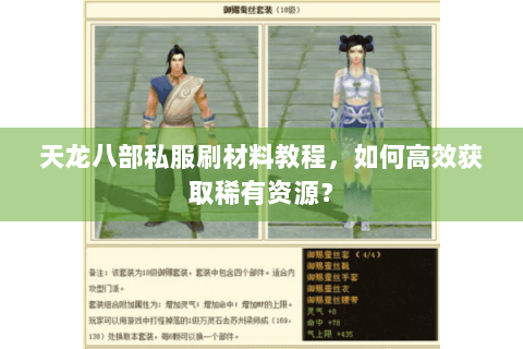 天龙八部私服刷材料教程，如何高效获取稀有资源？