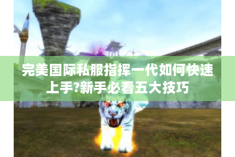 完美国际私服指挥一代如何快速上手?新手必看五大技巧