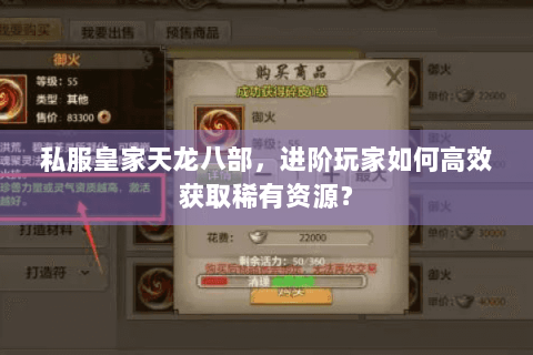 私服皇家天龙八部，进阶玩家如何高效获取稀有资源？