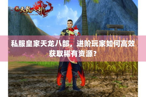 私服皇家天龙八部，进阶玩家如何高效获取稀有资源？