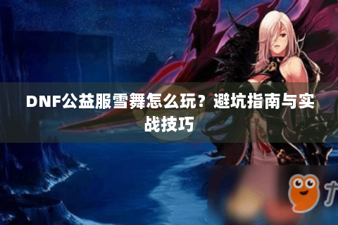 DNF公益服雪舞怎么玩？避坑指南与实战技巧