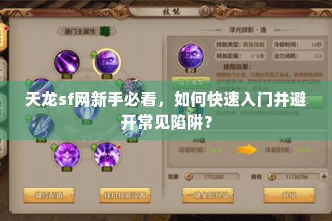 天龙sf网新手必看，如何快速入门并避开常见陷阱？