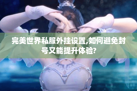完美世界私服外挂设置,如何避免封号又能提升体验?