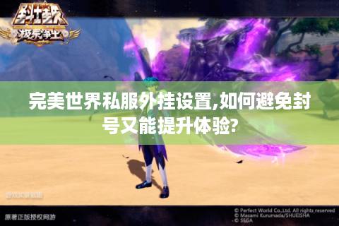 完美世界私服外挂设置,如何避免封号又能提升体验?