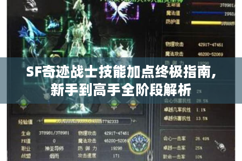 SF奇迹战士技能加点终极指南,新手到高手全阶段解析