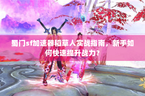 蜀门sf加速器稻草人实战指南，新手如何快速提升战力？