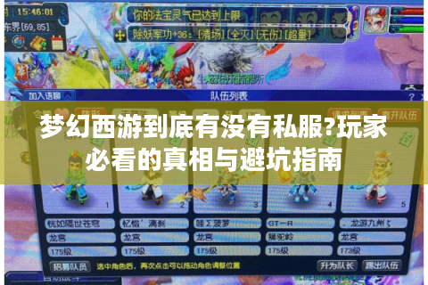 梦幻西游到底有没有私服?玩家必看的真相与避坑指南