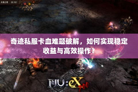 奇迹私服卡血难题破解，如何实现稳定收益与高效操作？
