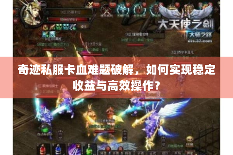 奇迹私服卡血难题破解，如何实现稳定收益与高效操作？